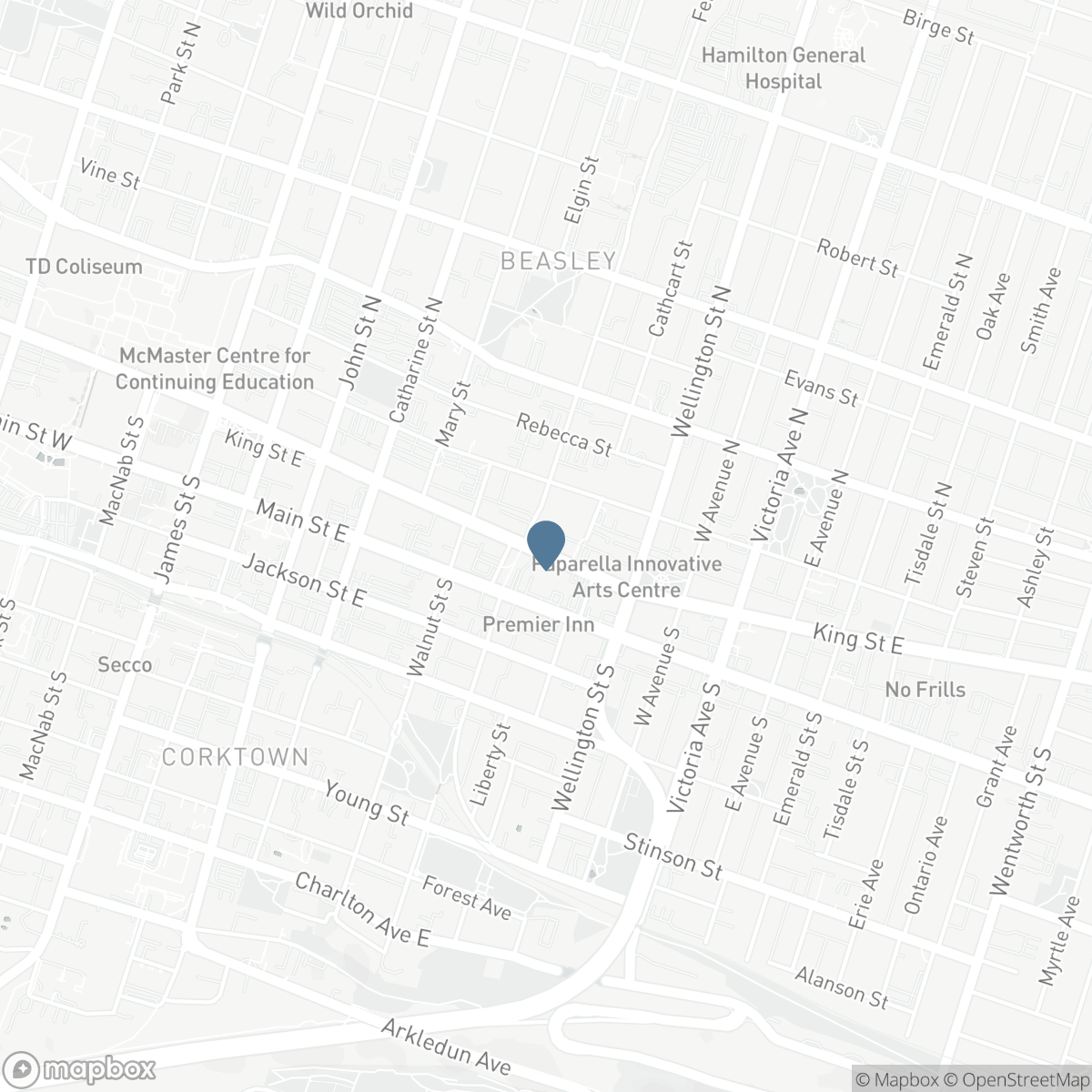 0B - 259 KING STREET E, Hamilton, Ontario L9G 1L9